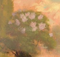 Jakab Károly (1904-1994): Tó part. Olaj, falemez, jelzett, üvegezett keretben, 17,5×23,5 cm