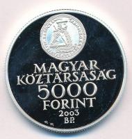 2003. 5000Ft Ag "Rákóczi szabadságharc 300. évfordulója" T:PP Adamo EM186