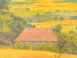 Györgyfy György (1896-1981): Sóskút 1929. Olaj, vászon, jelzett, üvegezett keretben, 50×40 cm