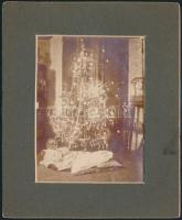 cca 1920 Karácsonyfa kisgyermekkel, fotó paszpartuban, 10×8 cm