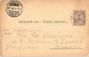 1900 Varasdfürdő, Warasdin-Töplitz, Varazdinske Toplice; park bejárat, gyógyfürdő, Kínai pavilon, Ko...