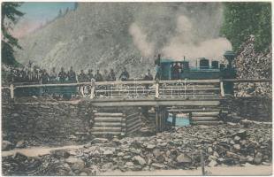 Borsa, Hadi vonat a határban fahídon, katonák és csendőrök. Kiadja Wider Hers / military train on wooden bridge near the border, gendarme and soldiers + K.U.K. KRANKENHALTSTATION (EK)