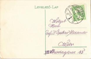 1915 Nagyszeben, Hermannstadt, Sibiu; Cs. és kir. Gyalogsági laktanya, zászlók / K.u.K. Infanterieka...