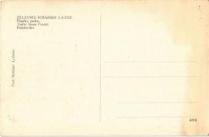 Zsély, Zelovce; Sósár fürdő, park / Sosárske Lázne / spa park