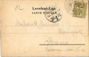 1904 Tátra, Magas Tátra, Vysoké Tatry; részlet a Csorbaitónál, nyaraló. Kiadja Cattarino Sándor 191....