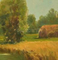 Zórád Géza (1896-1959): Kaszáló férfi a tópartnál. Olaj, vászon, jelzett, hibás keretben, 60×80 cm