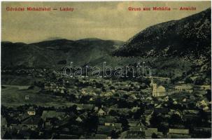 Mehádia, Mehadia; látkép. W. L. 1492. Kiadja Brauch A. Fia / Ansicht / general view (EK)