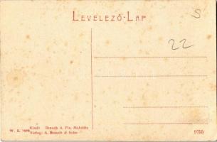 Mehádia, Mehadia; látkép. W. L. 1492. Kiadja Brauch A. Fia / Ansicht / general view (EK)