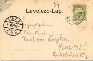 1904 Szászkabánya, Németszászka, Sasca Montana; szálloda. Kiadja C. Kehrer / hotel, street