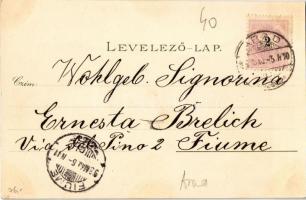 1898 Arad, Szabadság tér, Színház épület délről nézve, Jószágkormányzóság palotája, piaci árusok, üz...