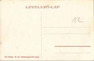 Lugos, Lugoj; Eötvös sor, Főgimnázium, Színház, Klein Miksa üzlete. W. L. (?) 319. / high school, th...