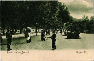 1909 Brassó, Kronstadt, Brasov; Park, hölgy kutyával / park, lady with dog (r)