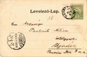 1906 Boksánbánya, Németbogsán, Bocsa Montana, Bocsa; Kolczán, Ausflugsort Bründl / Kolcán mészkőbány...