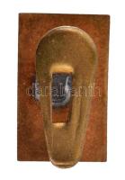 1948. Gyógyszerész Br gomblyuk jelvény, a szabadságharc 100. évfordulójára (20,5x12,5mm) T:1