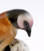 Hutschenreuther porcelán madár, kézzel festett, jelzett, kis kopásnyomokkal, m: 10 cm