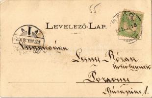 1902 Brád, Központi Igazgatósági pavilon (rudai Tizenkét Apostol bányatársulat). Kiadja Ábrahám Istv...