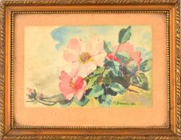 Benczúr jelzéssel: Virágok. Akvarell, papír, üvegezett keretben, 11,5×19 cm