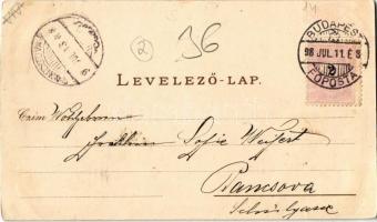 1898 Budapest VI. Jahn Ede vendéglője, étterem, Terézvárosi Pilseni Sörcsarnok, Bucher Károly üzlete...