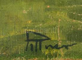 Pittner jelzéssel: Vízimalom. Olaj, vászon, kopott festék, 40×50 cm