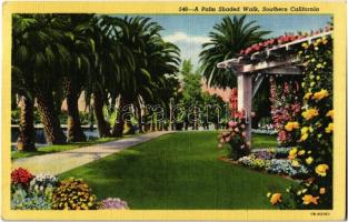 1949 Southern California, A Palm Shaded Walk