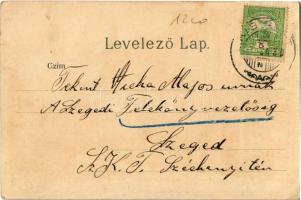 Budapest VIII. Kerepesi út (Rákóczi út), Nemzeti Színház. litho (EK)