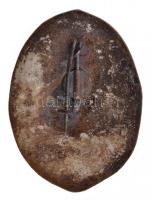 Románia DN "Pentru Merit Ceferist" zománcozott Br jelvény 437-es sorszámmal T:2
Romania N...