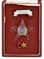 DN "Kiváló FMSZI Munkáért" zománcozott fém kitüntetés minatűrrel, dísztokban (60x40mm) T:2