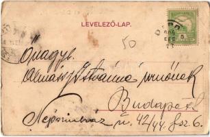 1906 Dárda, Darda; Korona szálloda. Kiadja Frank Béla könyvnyomdája / hotel (EB)