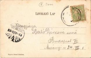 1905 Piliscsaba, utca, Római katolikus templom, Református templom. Kiadja Rigócz József (EK)