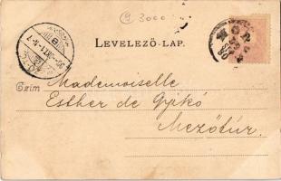 1899 Monor, Kossuth tér, Római katolikus templom, Református templom. Herodek István kiadása