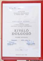 Vegyes papírrégiség tétel: házaspár különféle iratai: kitüntetési iratok, levelek, oklevelek, emlékl...