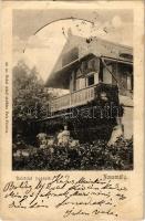 1904 Neszmély, Doletskó nyaraló, villa. Kiadja Nobel Adolf 50. (fa)