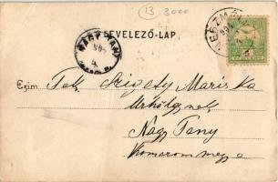 1904 Neszmély, Doletskó nyaraló, villa. Kiadja Nobel Adolf 50. (fa)