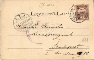 1900 Bodrogolaszi, Bodrog-Olaszi; Özv. Stefánia trónörökösné új lakhelye, kastély. Podleszny A. felv...