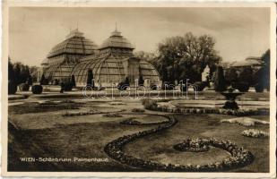 1931 Vienna, Wien, Bécs XIII. Schönbrunn, Palmenhaus / palace garden, palm house