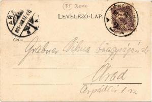 1901 Békéscsaba, Vasút utca, Bille-Berger üzlete. Kiadja a Corvina könyvkereskedés 4024