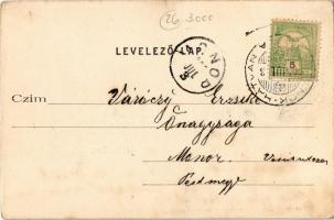 1905 Jászberény, Margitszigeti mulató. Kiadja Brünauer Adolf (fl)