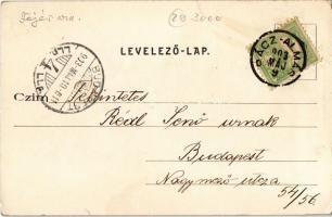 1903 Rácalmás, Rácz-Almás; látkép, nyaraló. Kiadja Reményi Ödön (EB)