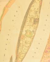 1872 Halácsy Sándor (1837-1885): "Pest Buda közt fekvő Szt. Margit Sziget térképe", német ...