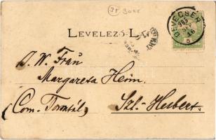 1905 Devecser, Gróf Esterházy kastély. Kiadja Rosenberg Zsigmond (fl)