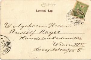 1903 Nagykanizsa, Hetivásári jelenet, piaci árusok. Alt & Böhm kiadása (EK)