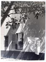 1959 Szőllősy Kálmán (1887-1976): Windows, pecséttel jelzett, feliratozott fotó, 40×30 cm