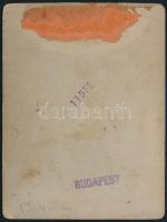 cca 1910 A dobsinai jégbarlang, fotó, kartonra ragasztva, hátulján feliratozva, 12×9 cm