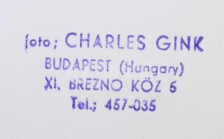 1984 Gink Károly (1922-2002): Madonna, pecséttel jelzett fotó, aláírt, sorszámozott (12/50), 40×30 c...