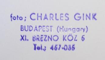 1984 Gink Károly (1922-2002): Ágyúk, pecséttel jelzett, aláírt fotó, sarkán törésnyom, 38×30 cm