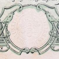 Tolna 1905. "A Tolnai Népbank Részvénytársaság" részvénye 100K-ról, szárazpecséttel, szelv...