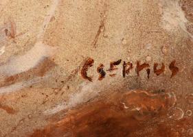 Csernus jelzéssel: Női akt. Olaj, farost, 59×39 cm