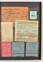 cca 1900-1960 Óriási utazási jegy gyűjtemény. 222 db közlekedési, villamos, autóbusz, vonatjegy berakóban, szépen rendezve. / Large collection of traffic tickets.