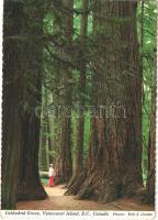 82 db MODERN külföldi városképes lap / 82 MODERN Worldwide town-view postcards