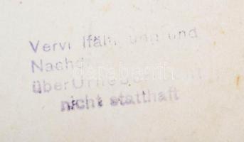 cca 1900 Románia. I. Károly király híd Cernavodánál Pecséttel jelzett fotó / Romania King Carol brid...